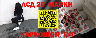 СК Севастополь