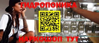 СК Севастополь