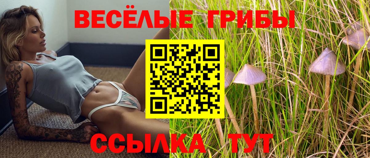 Галлюциногенные грибы Cubensis  Вход с VPN  Псилоцибиновые грибы Cubensis  Полевской 