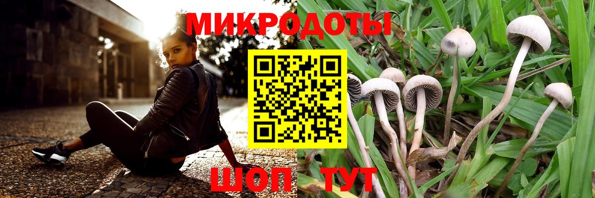 Псилоцибиновые грибы прущие грибы Полевской